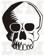 /album/fotogaleria-lebky/lebky-hlavy-11-jpg/